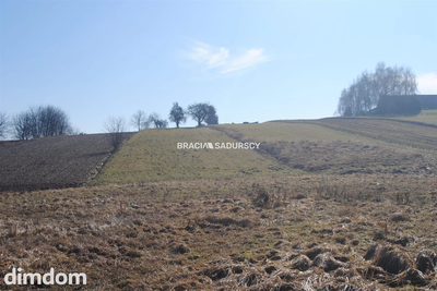 Duża działka budowlano-rolna w Bodzanowie - 2