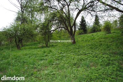 Działka budowlana,widokowa w Chobędzy gm.Gołcza - 3