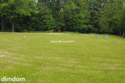 Gospodarstwo około 1,5 ha w Łazanach gm.Biskupice - 4