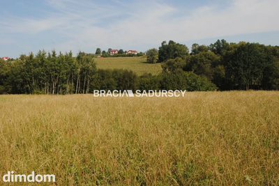 Okazja!!!Do sprzedania duża nieruchomość . - 4