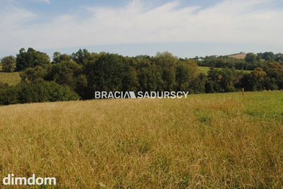 Okazja!!!Do sprzedania duża nieruchomość . - 5