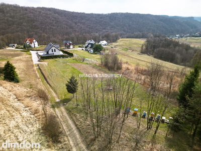 Malownicza działka Jerzmanowice 29 ar