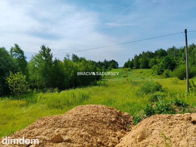 Duża działka przemysłowo-usługowa w Bodzanowie. - 2