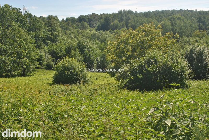 Nieruchomość budowlano -rolna w Lusinie - dd_c43ea97e_zs_BS1-GS-315546-7_1.jpg