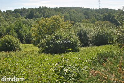 Nieruchomość budowlano -rolna w Lusinie - 3