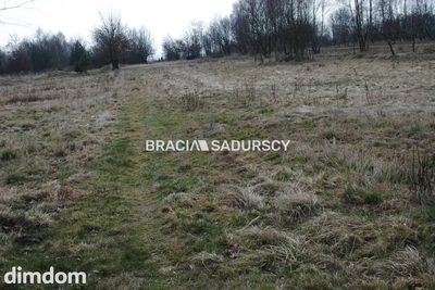 Duża działka Inwestycyjna  w Gm.Słaboszów - 4
