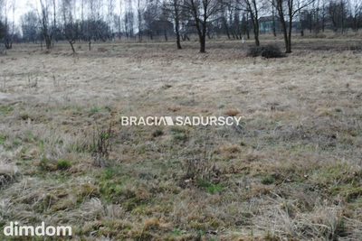 Duża działka Inwestycyjna  w Gm.Słaboszów - 5