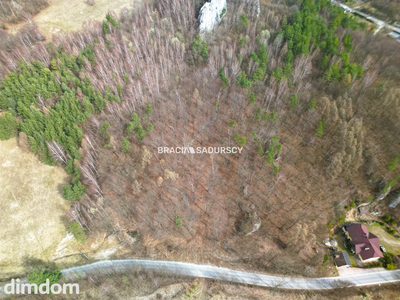 Las w Jerzmanowicach - 2