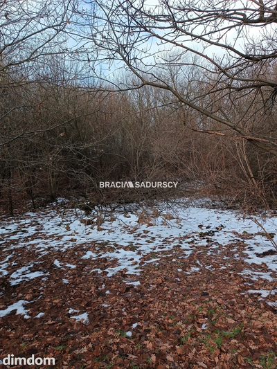Duża działka inwestycyjna  w Czarnochowicach - 5