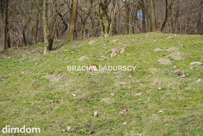 Do sprzedania działka budowlano- rolna ,częściowo zalesiona ,o pow ,48 arów ,/w tym 5 arów budowlane /w miejscowości Malkowice gm.Koszyce .bardzo dobry dojazd ,około 50 km od Krakowa .Kształt działki… - 2