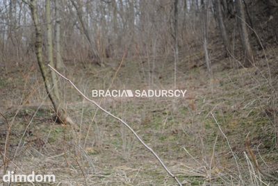 Do sprzedania działka budowlano- rolna ,częściowo zalesiona ,o pow ,48 arów ,/w tym 5 arów budowlane /w miejscowości Malkowice gm.Koszyce .bardzo dobry dojazd ,około 50 km od Krakowa .Kształt działki… - 4
