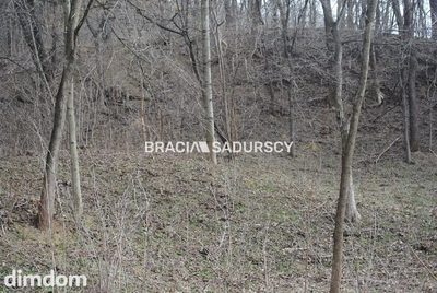 Do sprzedania działka budowlano- rolna ,częściowo zalesiona ,o pow ,48 arów ,/w tym 5 arów budowlane /w miejscowości Malkowice gm.Koszyce .bardzo dobry dojazd ,około 50 km od Krakowa .Kształt działki… - 5