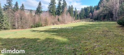 Działka rolna z możliwością zmiany na budowlaną - 2