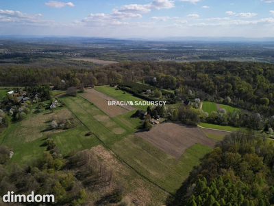 Płaska działka 2,21ha | Inwestycja | Natura - 5