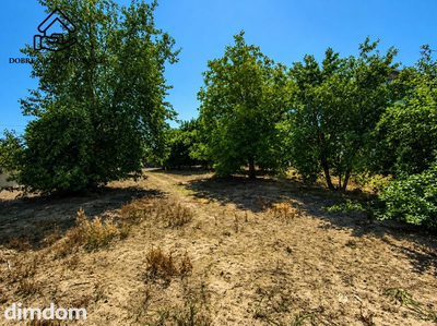 4500 m2 - przy drodze asfaltowej - teren MR - 5