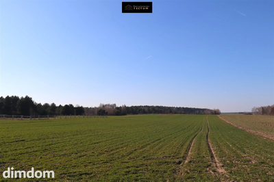 Działka budowlana Bartodzieje, Wągrowiec - 3