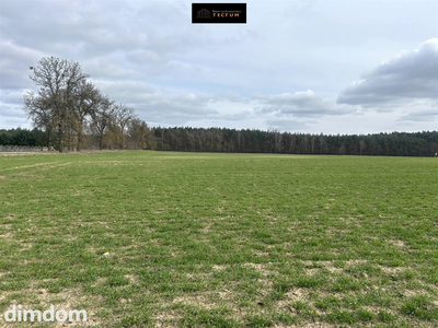 DZIAŁKA BUDOWLANA POD WĄGROWCEM NA SPRZEDAŻ - 5