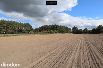 DZIAŁKI BUDOWLANE NA SPRZEDAŻ MIEŚCISKO,GORZEWO - 5