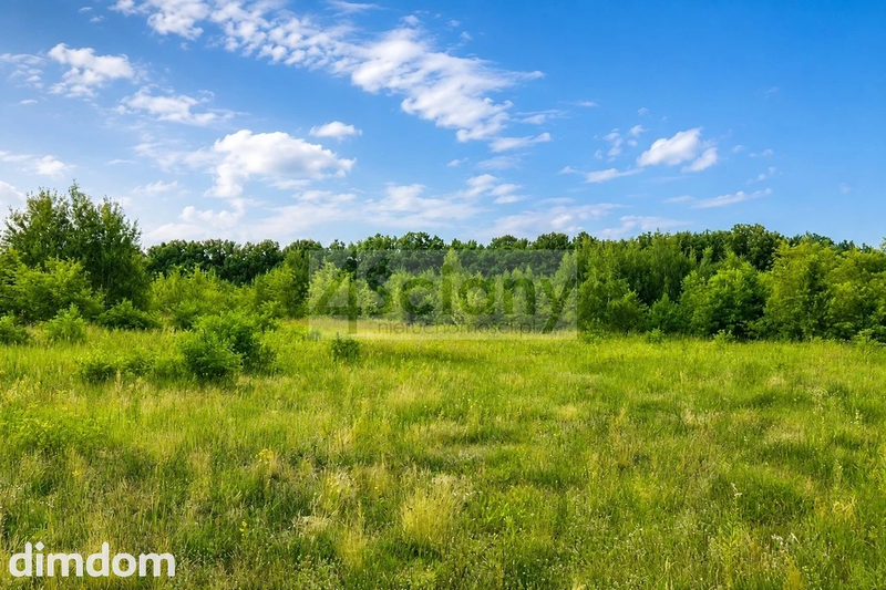 Działki inwestycyjne w Runowie o pow. 3,7271 ha - 114299870.jpg