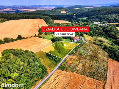 Myślinów | okolice Jawora - 4