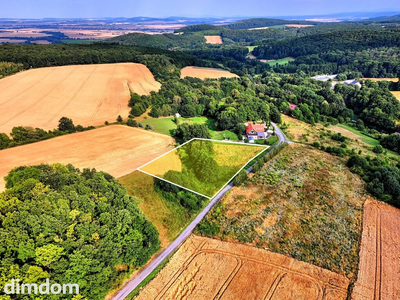 Myślinów | okolice Jawora - 5