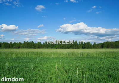 Działka w centrum Rynarzewa | Hala, Magazyn, Dom