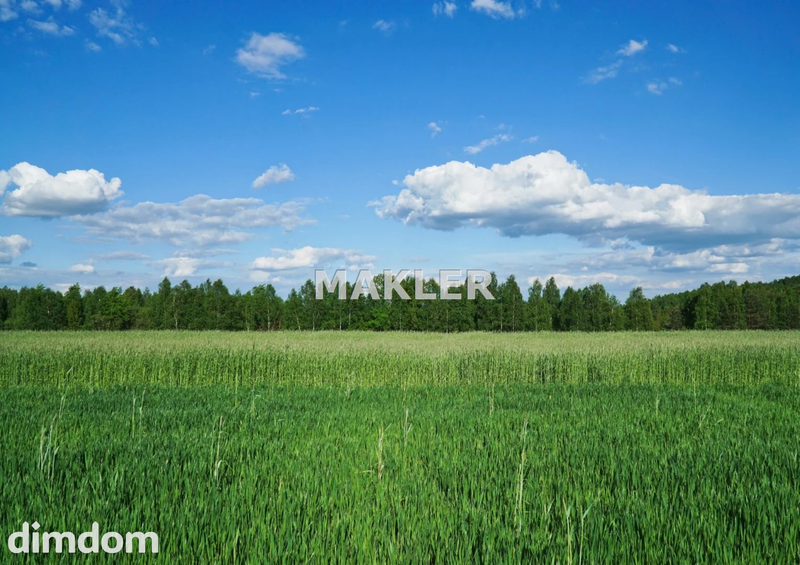 Działka w centrum Rynarzewa | Hala, Magazyn, Dom - dd_e1dabfe5_zs_MAK-GS-31457_1.jpg