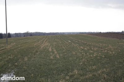 Cicha działka Tomaszowice