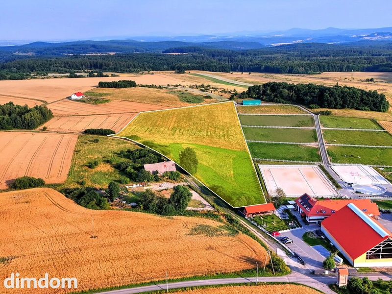 2,70 ha wyjątkowych możliwości. Myślinów k/Jawora - 114057466.jpg