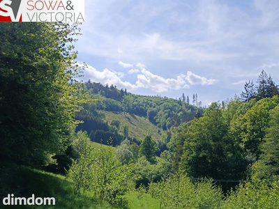 Działka przy lesie, atrakcyjna lokalizacja - 4