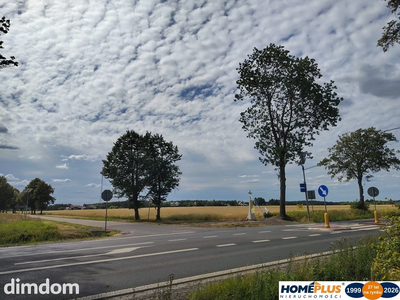 Działka z WZ 4 domy blisko Narwi 35km od Warszawy - 3