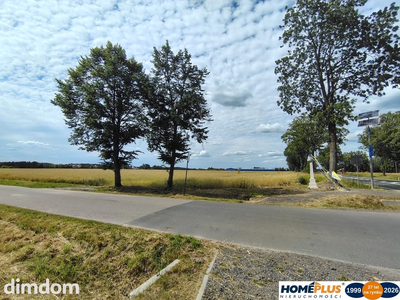 Działka przy DK 61 blisko Narwi 35 km od Warszawy - 5
