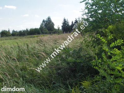 Działka usługowo - budowlana o powierzchni 10.000m2
