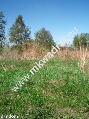 Działka usługowo - budowlana o powierzchni 10.000m2 - 4