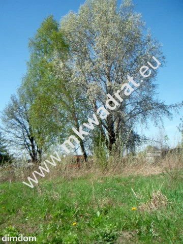 Działka usługowo - budowlana o powierzchni 10.000m2 - 5