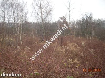 działka z planem zagospodarowania - 2