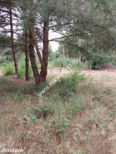 Działka, cicha, MPZP, Osowiec - 2
