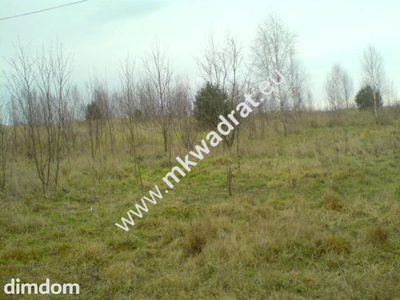Działka rolna o powierzchni 18.500 m2 położona w miejscowości  Łajszczew Stary, gmina Puszcza Mariańska. Media: woda na działce, energia elektryczna i linia telefoniczna w drodze.