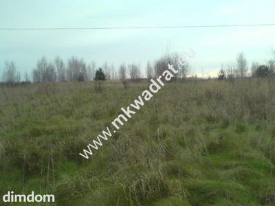 Działka rolna o powierzchni 18.500 m2 położona w miejscowości  Łajszczew Stary, gmina Puszcza Mariańska. Media: woda na działce, energia elektryczna i linia telefoniczna w drodze. - 2