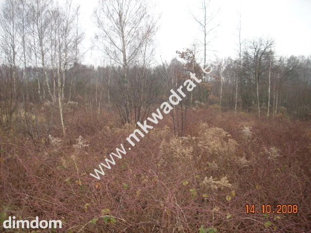 Działka budowlana o powierzchni 1681m2 położona - 18475480.jpg