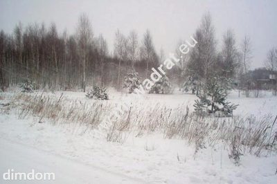 Działka rolna o powierzchni 3000m2 w kształcie trójkąta zlokalizowana w Mszczonowie. Nie ma planu zagospodarowania
