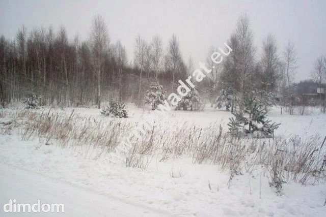 Działka rolna o powierzchni 3000m2 w kształcie trójkąta zlokalizowana w Mszczonowie. Nie ma planu zagospodarowania - 18476336.jpg