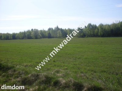 Działka rolna 14 000 m2 w miejscowości Gąba koło Mszczonowa.