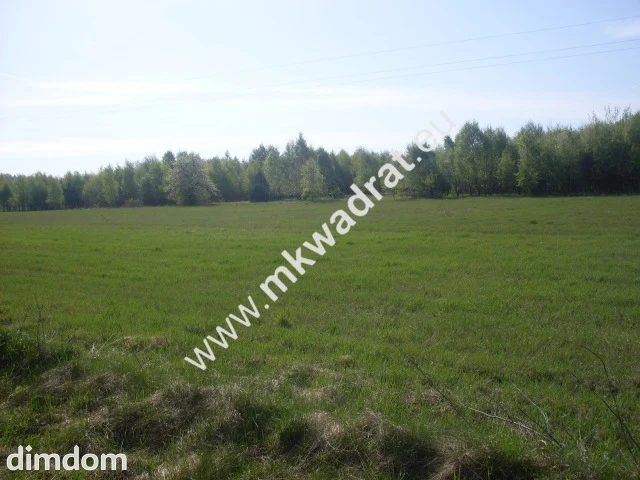 Działka rolna 14 000 m2 w miejscowości Gąba koło Mszczonowa. - 18477265.jpg