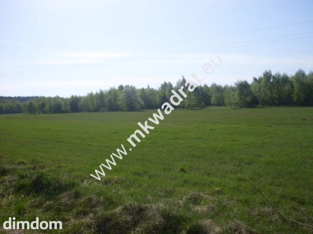 Działka rolna o powierzchni 9 800 m2 zlokalizowana - 18477418.jpg