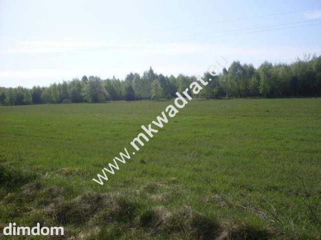 Działka rolna o powierzchni 26 810 m2 zlokalizowana - 18477451.jpg