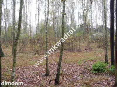 Działka objęta studium zagospodarowania terenu. Położona w lesie  przy drodze, o powierzchni 9300m2 . Istnieje możliwość podziału  na działki o powierzchni 1500m2. Działka usytuowana wzdłuż drogi wew… - 3
