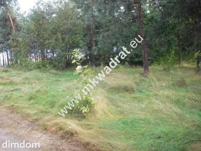 Działka budowlana 2000m2 zlokalizowana w Mszczonowie. - 2