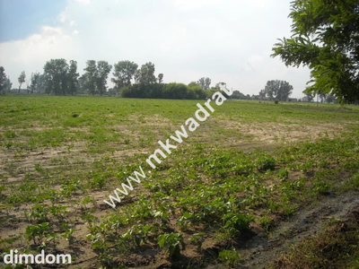 Działka budowlana położona przy drodze powiatowej. Idealne miejsce na zabudowę jednorodzinną  w powiązaniu z funkcją usługową. Działka  nie wymaga wycinki drzew, równa powierzchnia, okazałe drzewa pr… - 4
