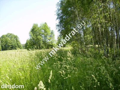 działki siedliskowe - 3